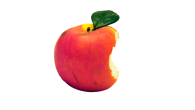 Der Tod von Apple-Gründer Steve Jobs war für Millionen Fans eine Tragödie. Für seine Biografie allerdings ein Segen. Die Nachfrage nach dem Buch ist inzwischen so groß, wie die Nachfrage...