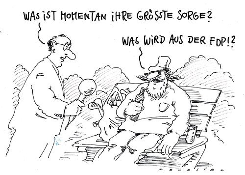 Sorgenkind FDP